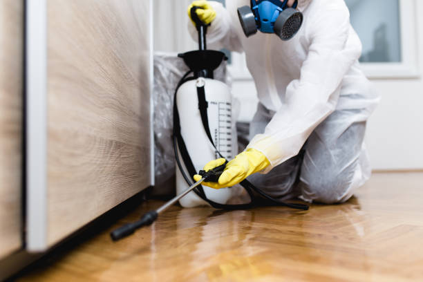 Best Cockroach Control Services  in Glenn Dale, MD