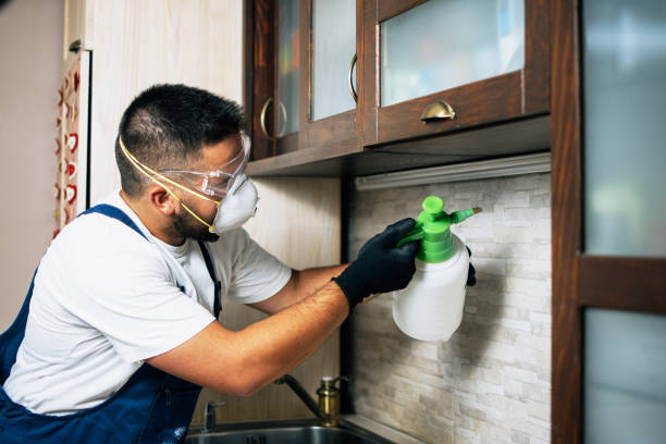 Best Residential Pest Control  in Glenn Dale, MD