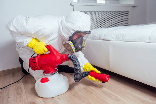 Best Wasp Removal Services  in Glenn Dale, MD