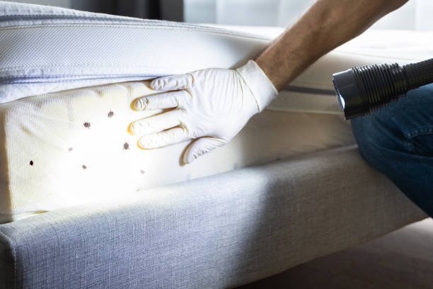 Best Pest Control Near Me in Glenn Dale, MD